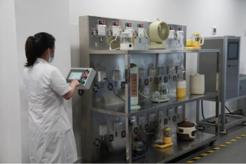 以用戶為中心，小熊電器差異化創新引領品質生活新篇章